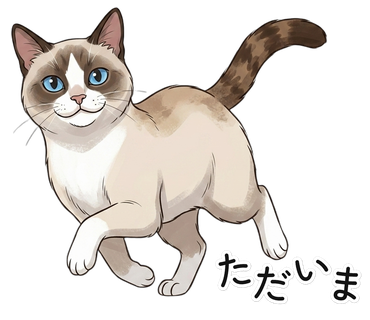 ただいま