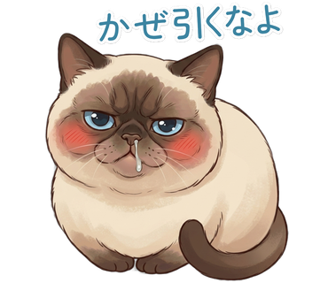 かぜ引くなよ